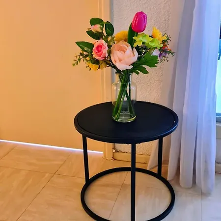 Caraibes 101 Luxe In Cap D'agde Apartment Agde