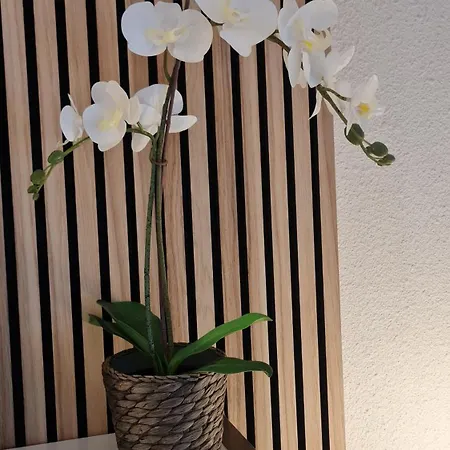 Caraibes 101 Luxe In Cap D'agde Apartament *